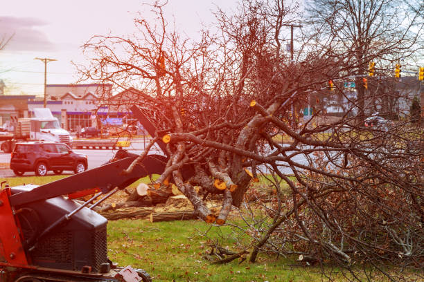 Best Utility Line Clearance  in Hartford, SD