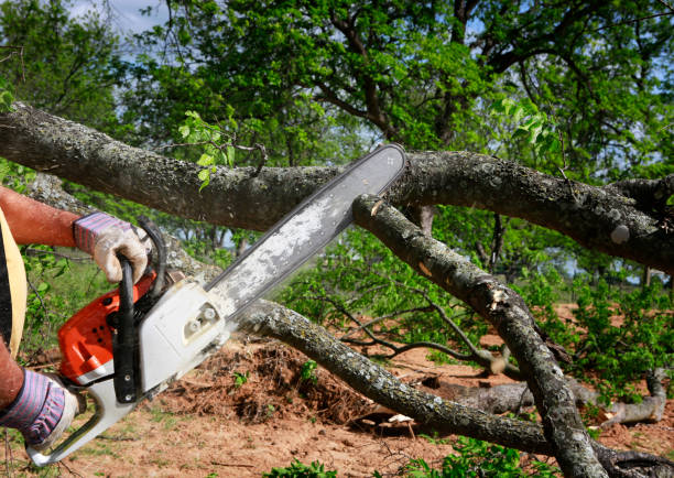 Best Lawn Grading and Leveling  in Hartford, SD